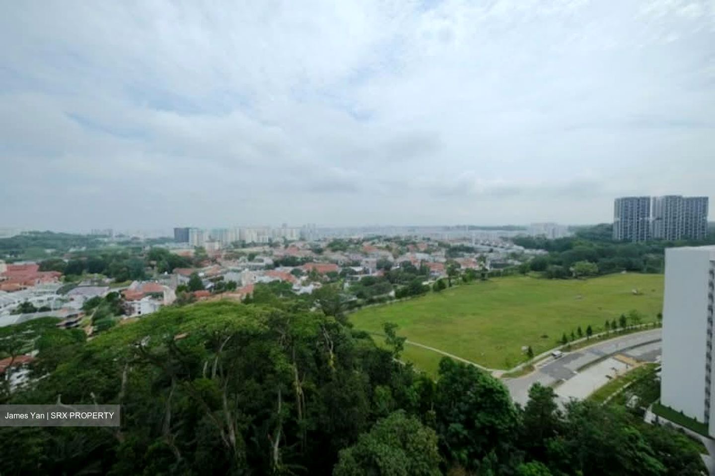 The Skywoods (D23), Condominium #556519591